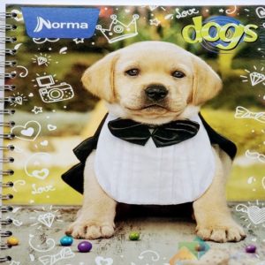 10495 - CUAD ACAD 100 C DOGS