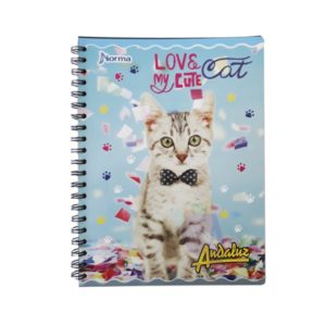 10613 - CUAD ACAD 60 4L ANDALUZ