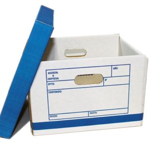 10719 - CAJA ARCHIVADORA + TAPA