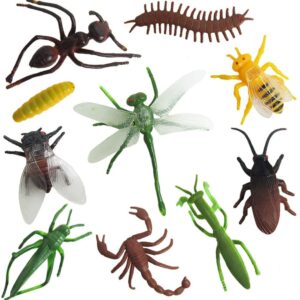 10971 - MAQUETA INSECTOS