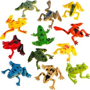 10973 - MAQUETA RANAS