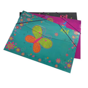 1446 - CARPETA ELASTICO NORMA KIUT