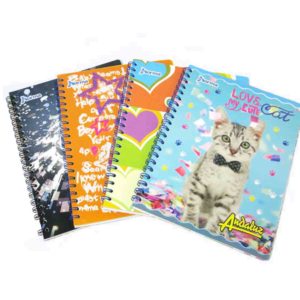 3031 - CUAD ACAD 100 2L ANDALUZ