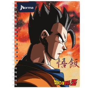 7634 - CUAD ACAD 100 C DRAGON BALL